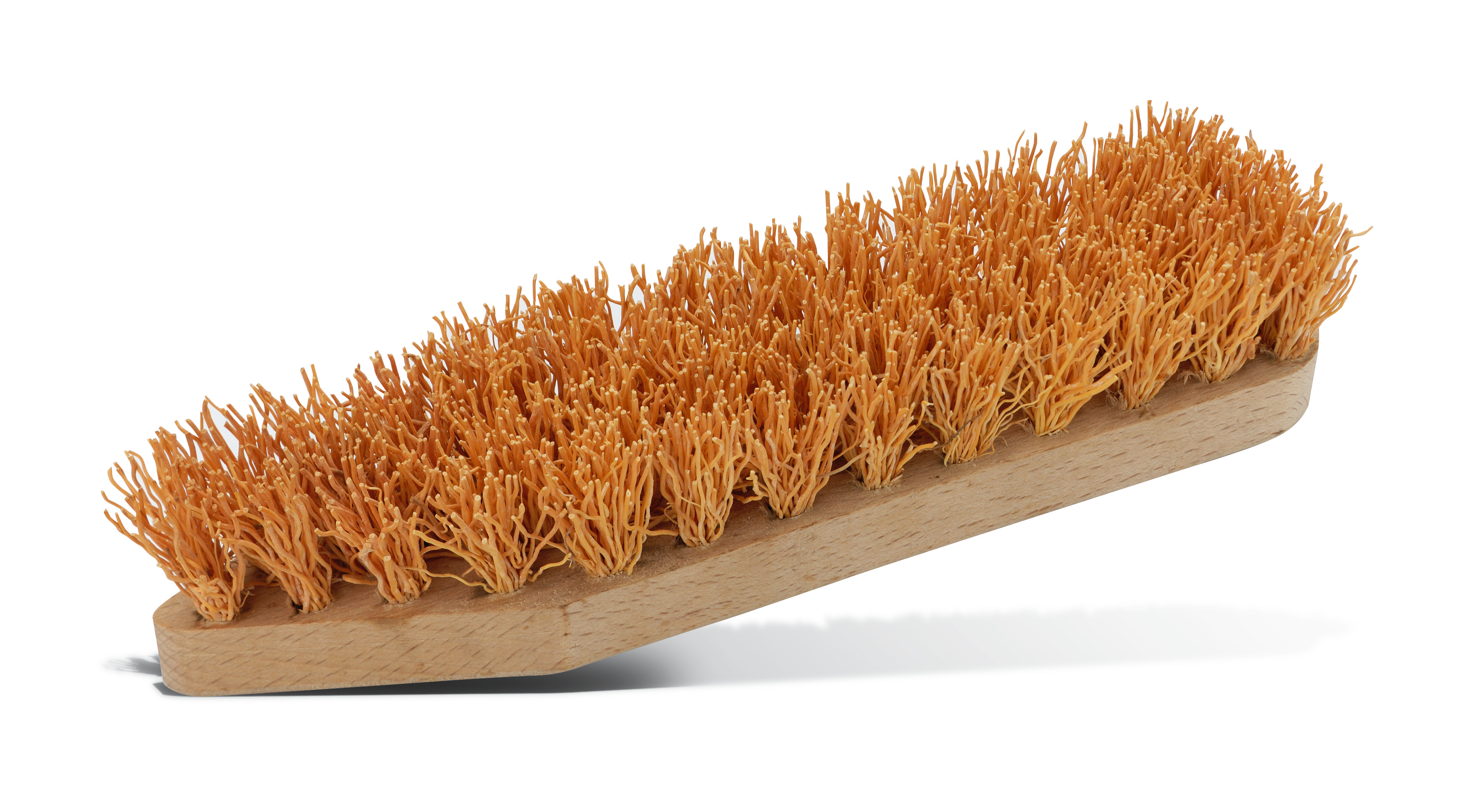 Root brush Pajarito Root brush Pajarito