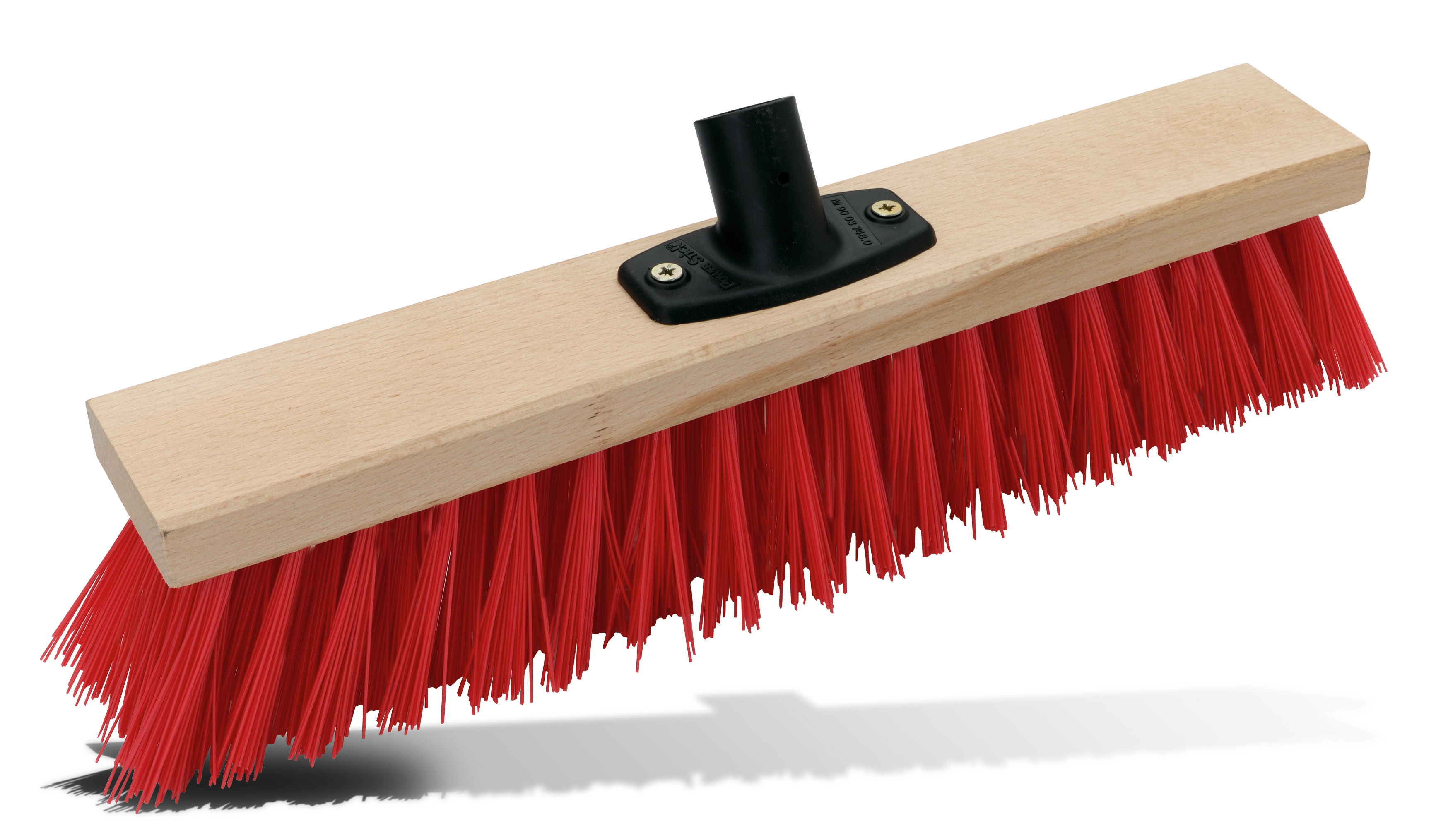 Coarse broom Pajarito Coarse broom Pajarito